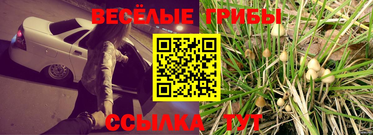 Галлюциногенные грибы Magic Shrooms  Вход с VPN  Усинск  Галлюциногенные грибы Psilocybe 
